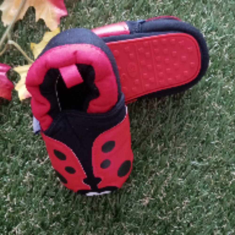 Zammy Yammy Lady Bug Shoes
